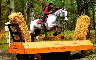 Ecuries du Grand Saphir, Centre Equestres à Saint-Étienne-sur-Chalaronne