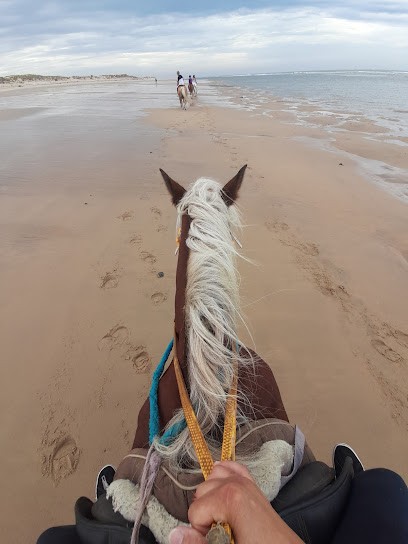 Equestrian Center Le Cheval Autrement, Centre Equestres aux Mathes