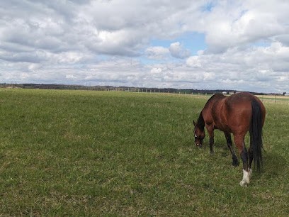 Virginie Letaconnoux Rival'Horse, Pension pour Chevaux à Montliard