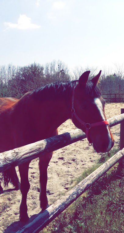 Equestrian Field Du Chatelier, Centre Equestres à Corps-Nuds