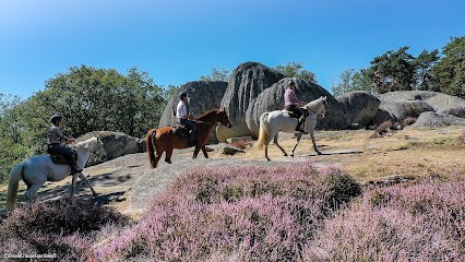 Stud Life Passion, Centre Equestres à Domeyrot