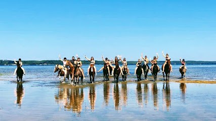 Equi-Aventure, Centre Equestres à Sanguinet