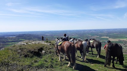 L'Etrier De La Montagne Noire EARL, Centre Equestres aux Cammazes