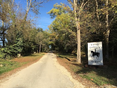 Cottage Equestrian Group Gers :, Centre Equestres à Condom