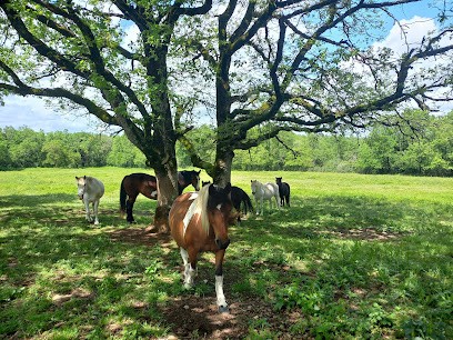 La Chevauchée Nature, Centre Equestres à Villefranche-de-Rouergue