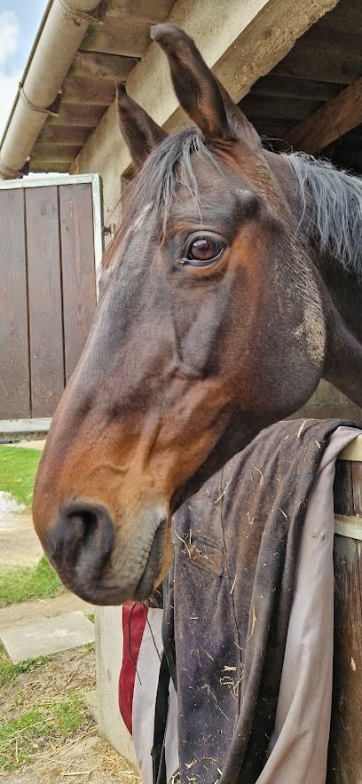Les Écuries De Ste Gen, Centre Equestres à Sainte-Geneviève-des-Bois