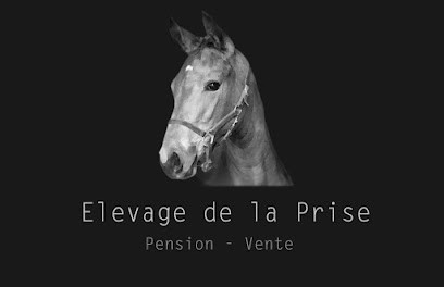 Elevage De La Prise, Pension pour Chevaux à Casson