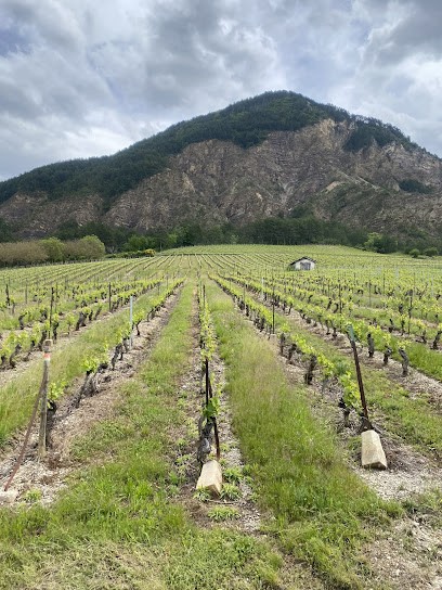 Cavaliers Voconces, Centre Equestres à Menglon