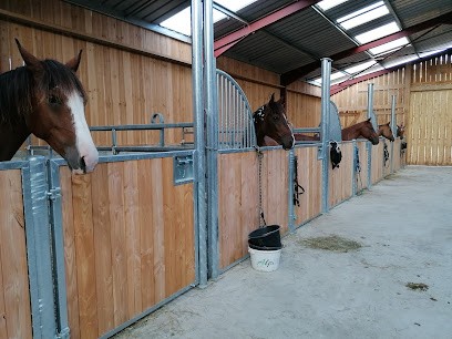 Ever Ranch, Pension Pour Chevaux, Pension pour Chevaux à Ambléon