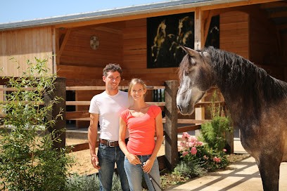 Ecurie Alice Et Antoine Castillon, Pension pour Chevaux à La Pommeraye
