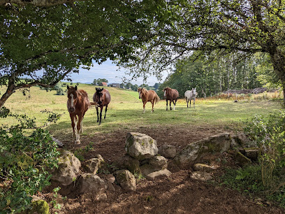 Equi'cantal, Centre Équestre à Montboudif