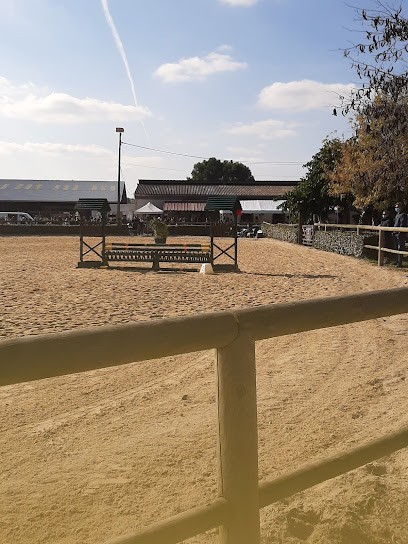 CENTRE EQUESTRE DU MANOIR, Centre Equestres à Saint-Philbert-de-Grand-Lieu