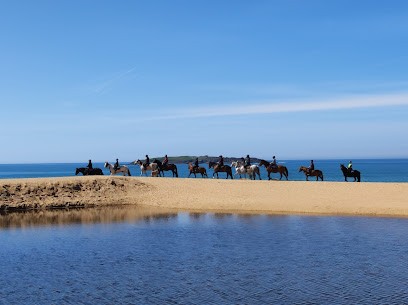 Horse Farm Les Korrigans, Centre Equestres à La Croix-Helléan