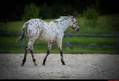 Appaloosa Horse Club France, Centre Equestres à Vonnas