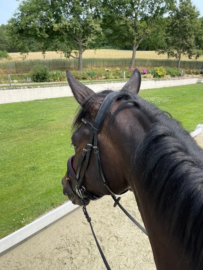 Sangleboeuf Marie Pierre, Centre Equestres à Villeconin