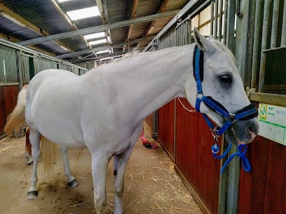 ECURIES DE FRESCATY, Centre Equestres à Moulins-lès-Metz