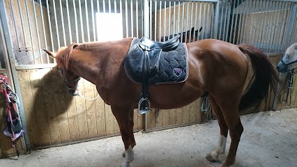 CENTRE EQUESTRE DES ONGLOUS, Centre Equestres à Poussan