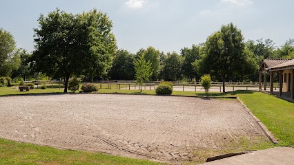 Acp Des Cassou, Centre Equestres à Mimbaste