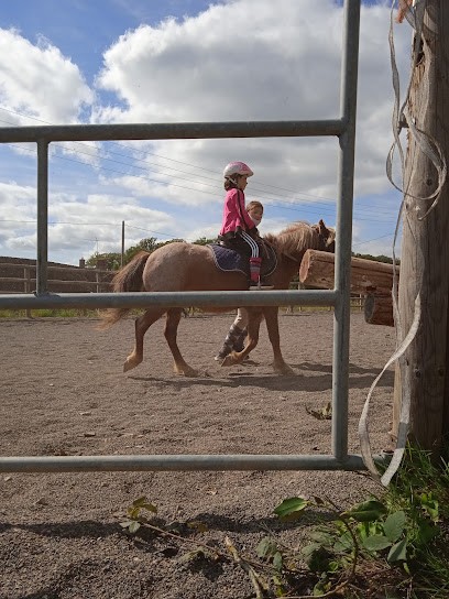 Gp Sport Loisirs, Centre Equestres à Saint-Nicolas-des-Bois