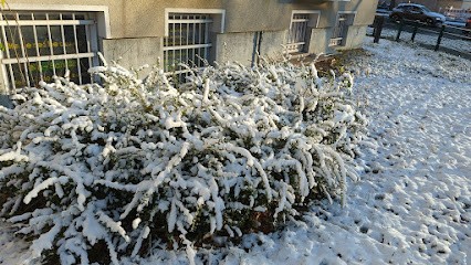 Ecurie De L'oyat, Centre Equestres à Sercus
