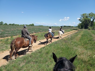 Equiverdon Riez, Centre Equestres à Riez
