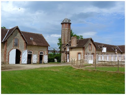 Haras De Montigny, Pension pour Chevaux à Villeneuve-en-Perseigne