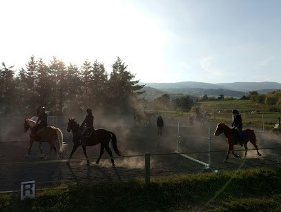 Ecurie Chantereine, Centre Equestres à Soleymieux