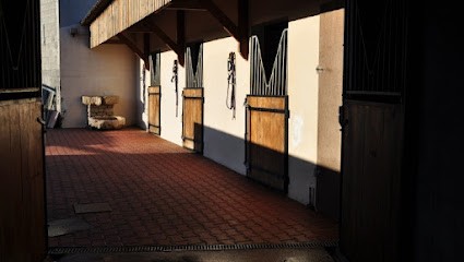 Les Chevaux Du Rajal, Centre Equestres à La Bastide-Pradines