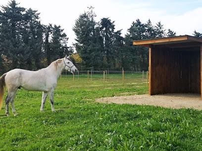 Les écuries De Maillane, Centre Equestres à Maillane