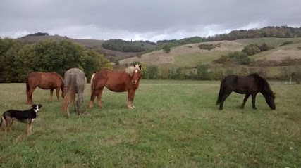 Farandole Equestre, Centre Equestres à Esplas