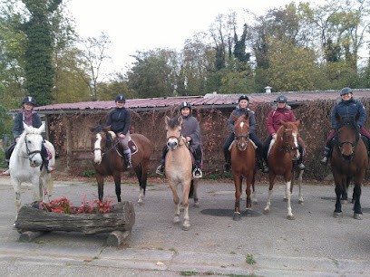 Pleasure Horse Wolfisheim, Centre Equestres à Wolfisheim