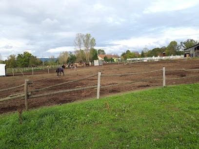 HARAS DU BRIN D AMOUR, Centre Equestres à Viriville