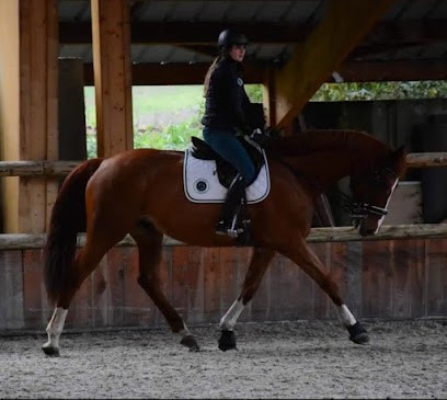 Écurie l'or du Rocher, Pension pour Chevaux à Congrier
