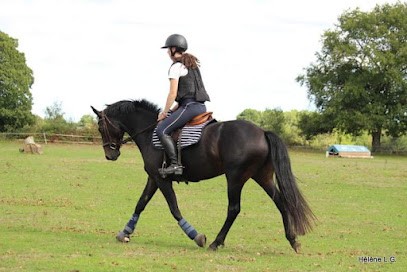 Élevage d'Oré, Pension pour Chevaux à Saint-Thurien