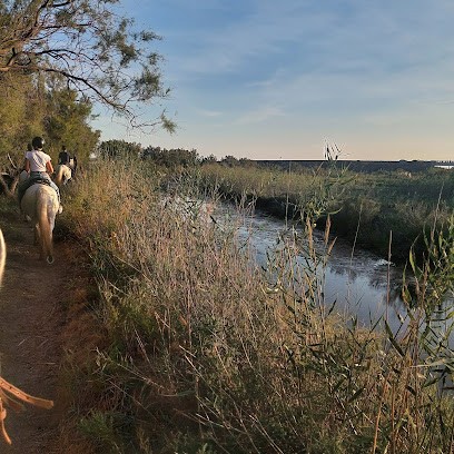 equitation vic la gardiole, Centre Equestres à Vic-la-Gardiole