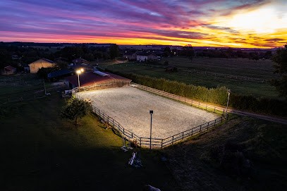 Elevage Odaca, Pension pour Chevaux à Dommartin-aux-Bois