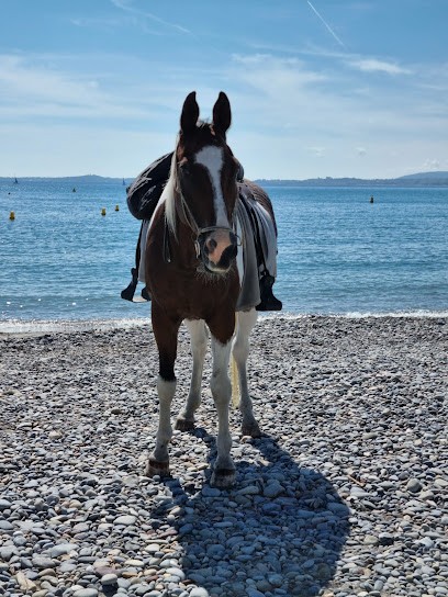 Ecurie la Pirouette, Centre Equestres à Lantosque