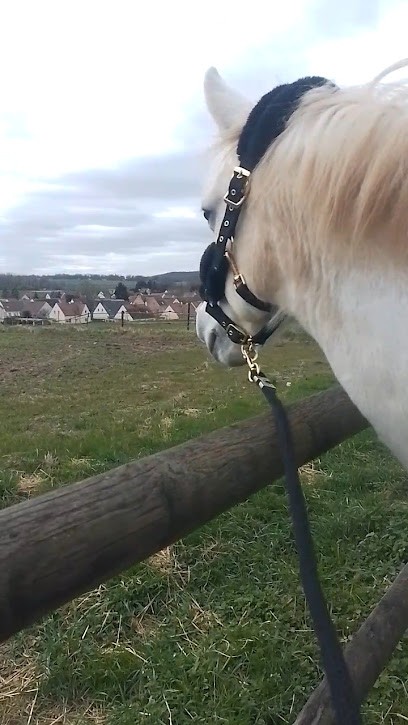 PONEY CLUB SAINT JONES, Centre Equestres à Mélicocq