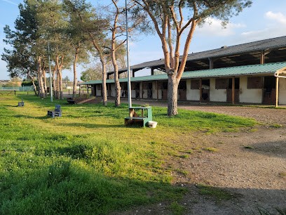 Ecuries Rosario Tréon, Pension pour Chevaux à Tréon