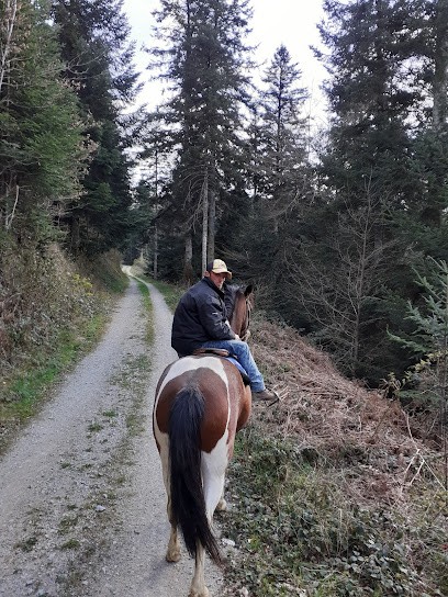 Ranch Du Lévézou Tourism Center Equestre, Centre Equestres à Trémouilles