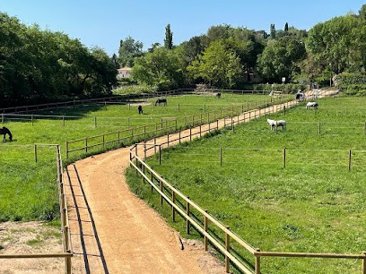 Les Ecuries De Saint Paul, Centre Equestres à Saint-Paul-de-Vence