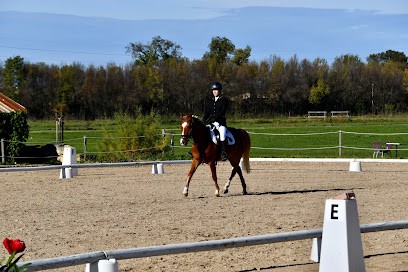 Haras des canaux, Pension pour Chevaux à Saussan