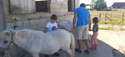 Ecurie Equi'val D'amour, Centre Equestres à Souvans