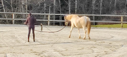 Pension bien-être pour chevaux  Les prés de Sophie , Pension pour Chevaux au Val-d'Ajol