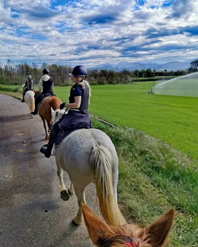 Ferme équestre Du Grand Bois, Centre Equestres à Mison