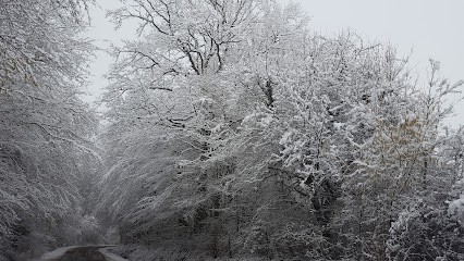 Ecurie De La Valée Des Sources, Centre Equestres à Choisy-en-Brie