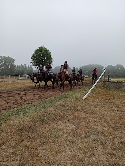 Écurie Nicolle, Centre Equestres à Saint-Augustin