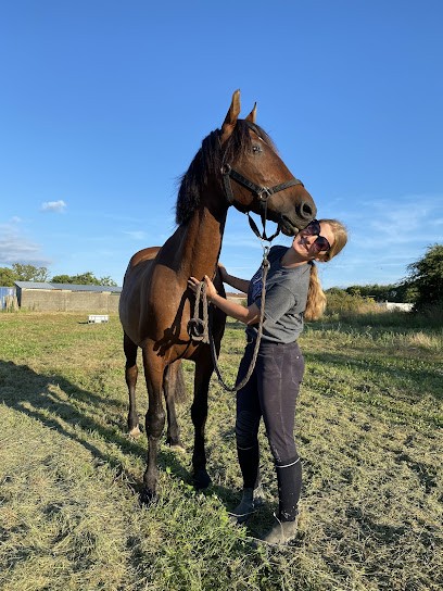 SCEA de Ialta, Pension pour Chevaux à La Bernardière