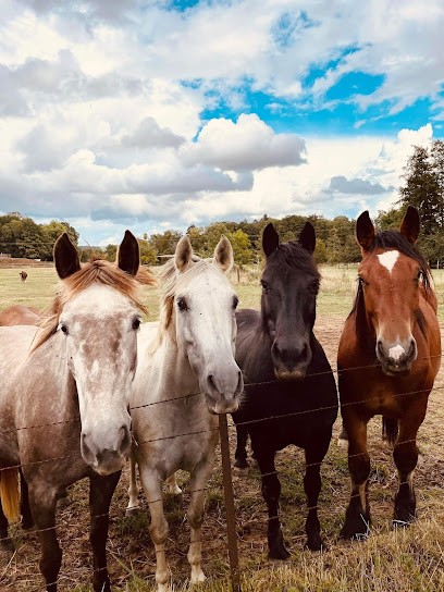 Stalls Fourile, Centre Equestres à Wadelincourt