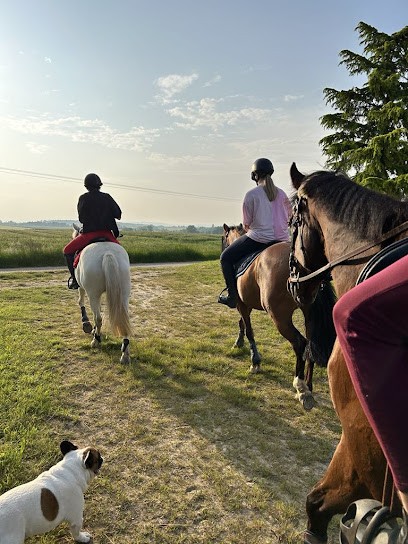 Equestrian Center Semur En Auxois, Centre Equestres à Semur-en-Auxois